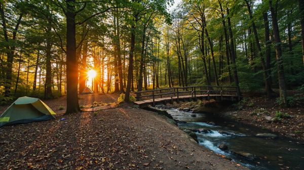 Comment les gérants exploitent la visite virtuelle de camping