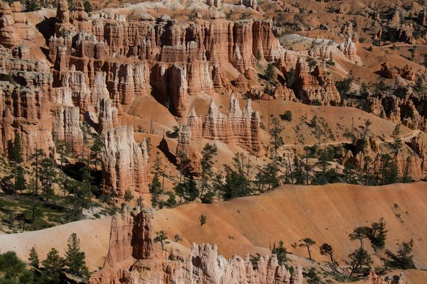 Comment organiser un camping pour explorer les canyons de l'Utah?